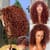 Carina Honey Brown 180% Short Curly Bob Wig 13x4 Lace Front Wigs Clean Hairline For Women Human Hair